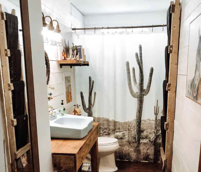 southwestern bathroom design ideas Cactus and Succulents 