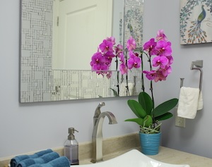 13 Incredible Bathroom Plants That Thrive – Say Goodbye to Dull Spaces!